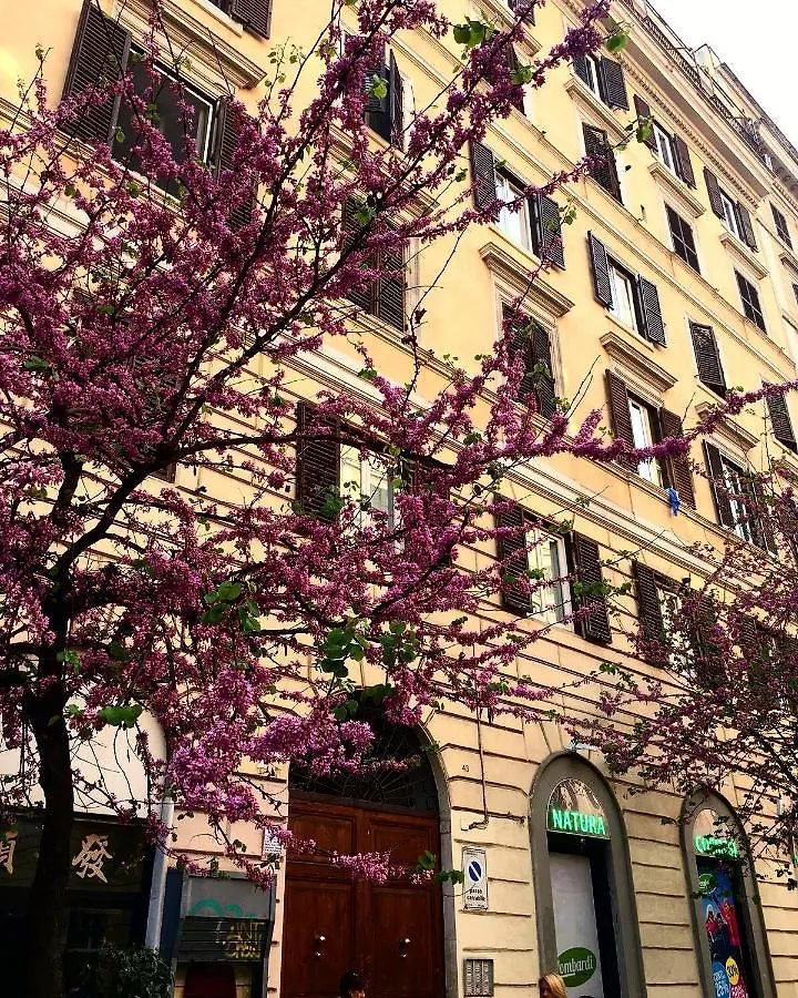 Suites In Rome
