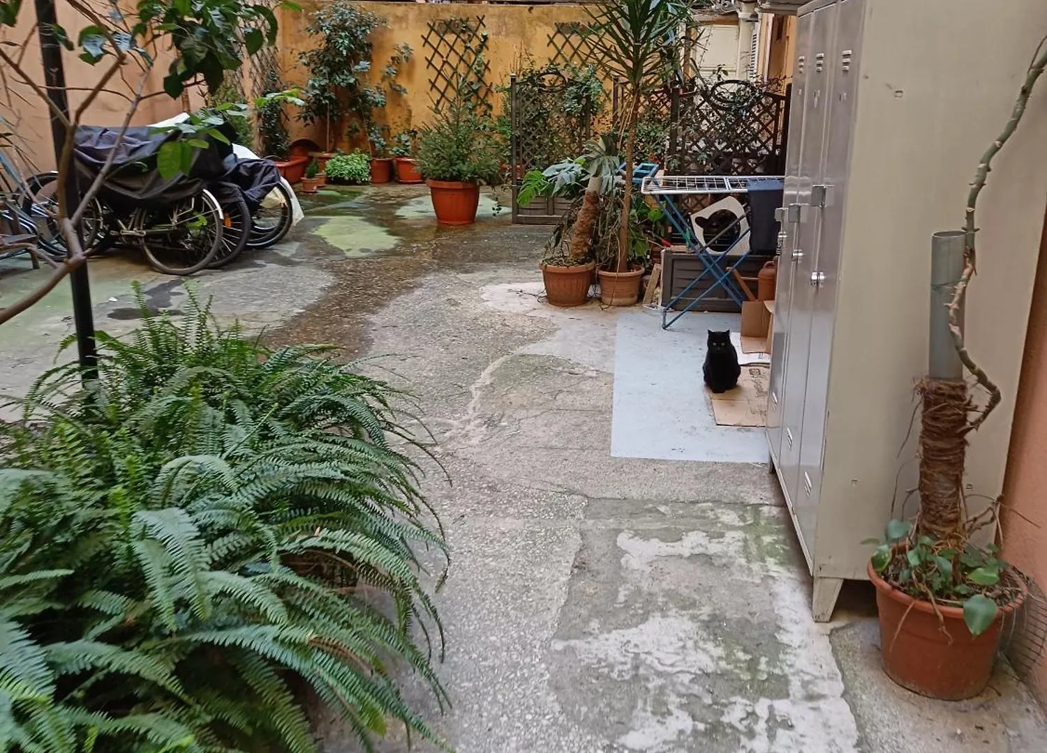 Apartment Suites In Rome